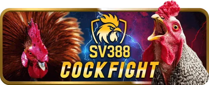 Đội ngũ hỗ trợ khách hàng 45winvn chuyên nghiệp 24/7
